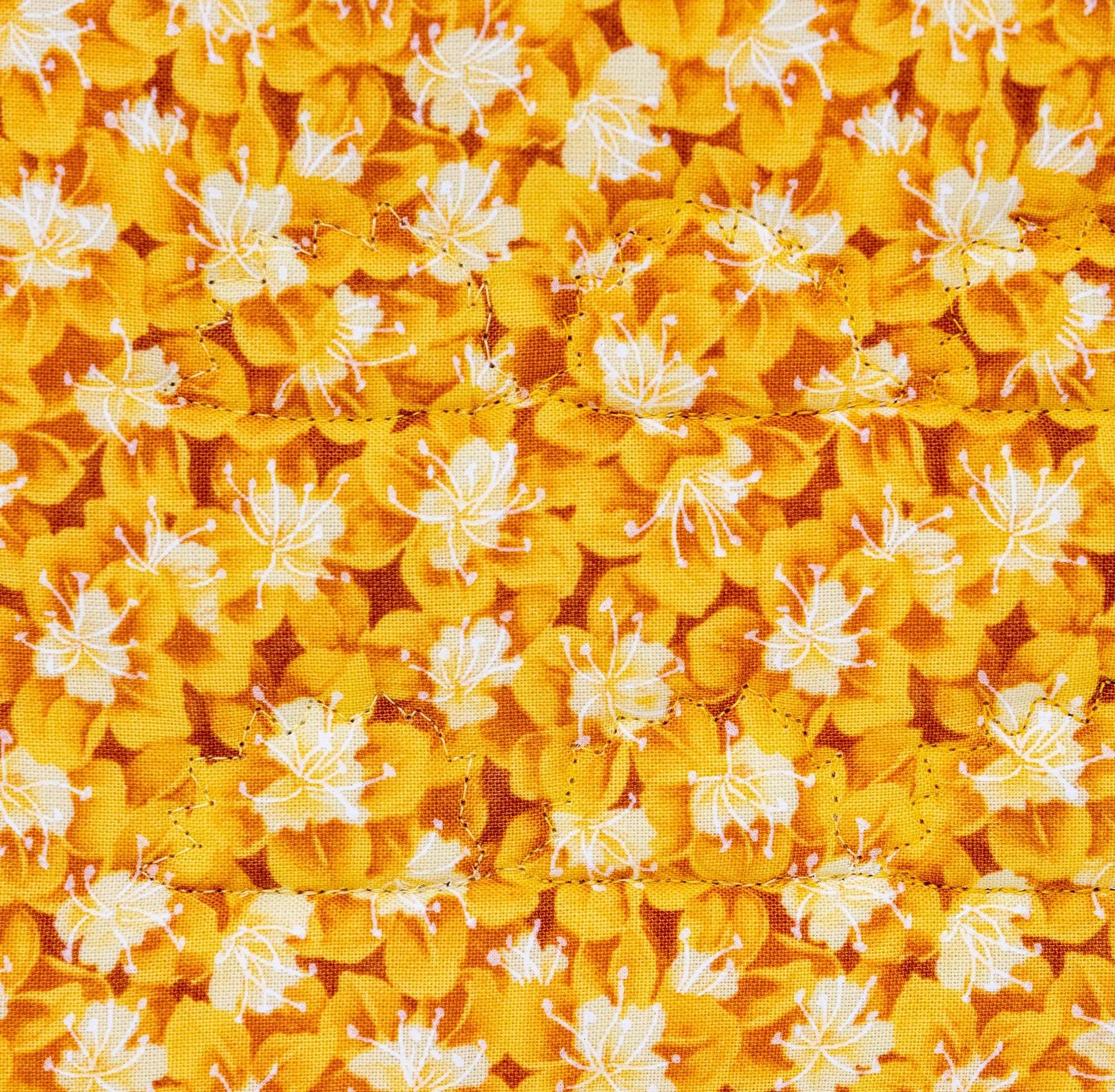 Orange yellow hedgehogs 3 back detail 2000px.jpg