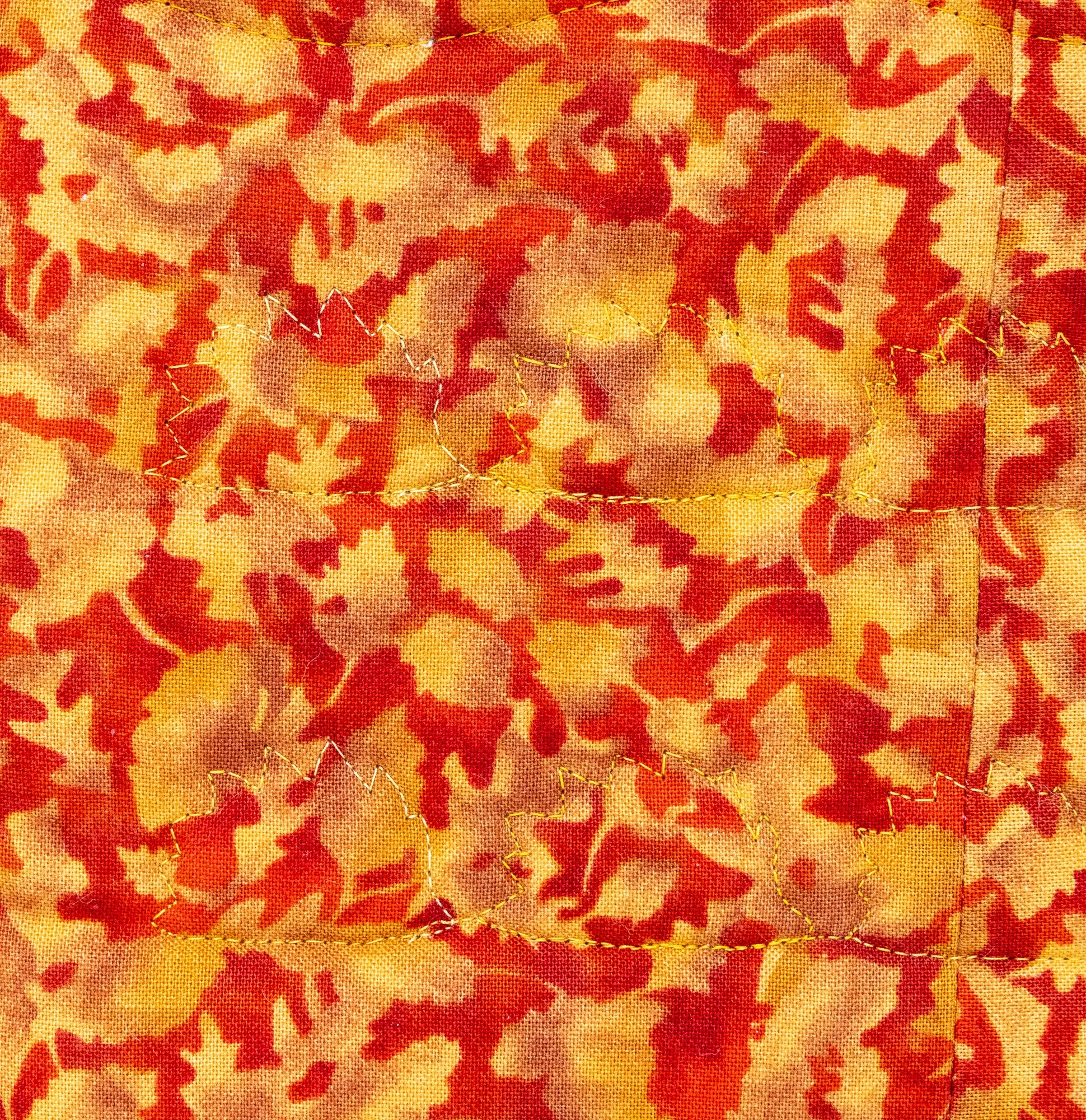 Orange yellow hedgehogs 4 back detail 2000px.jpg