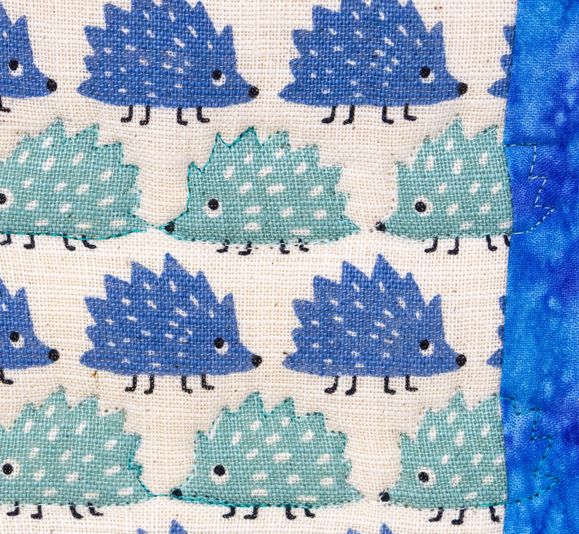 Blue teal hedgehogs 5 front detail 2000px.jpg