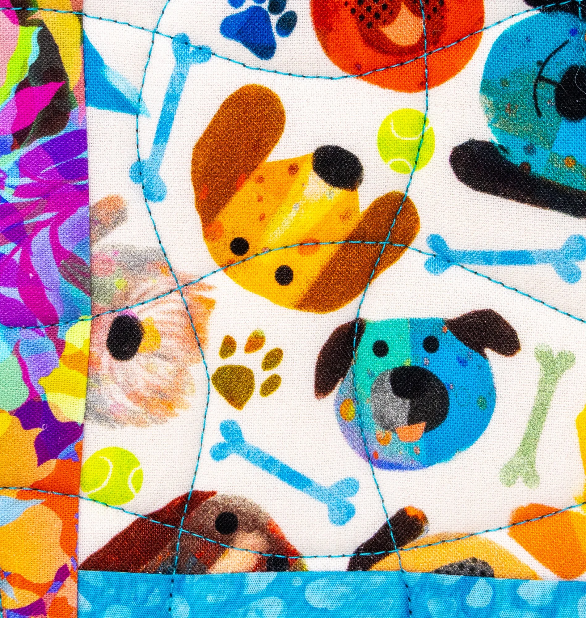 Dog faces 5 front detail 2000px.jpg