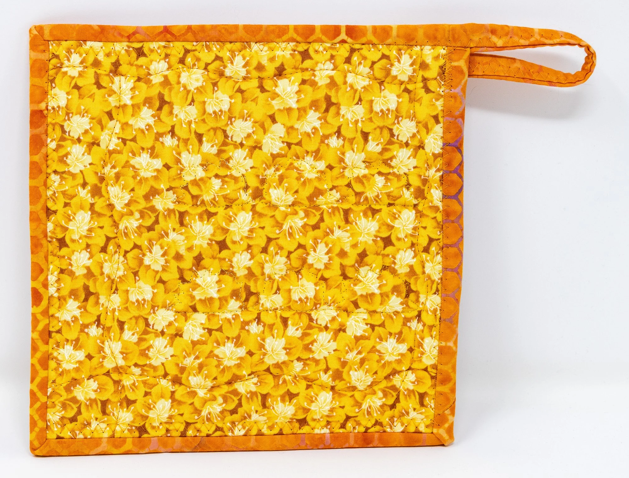 Orange yellow hedgehogs 3 back 2000px.jpg