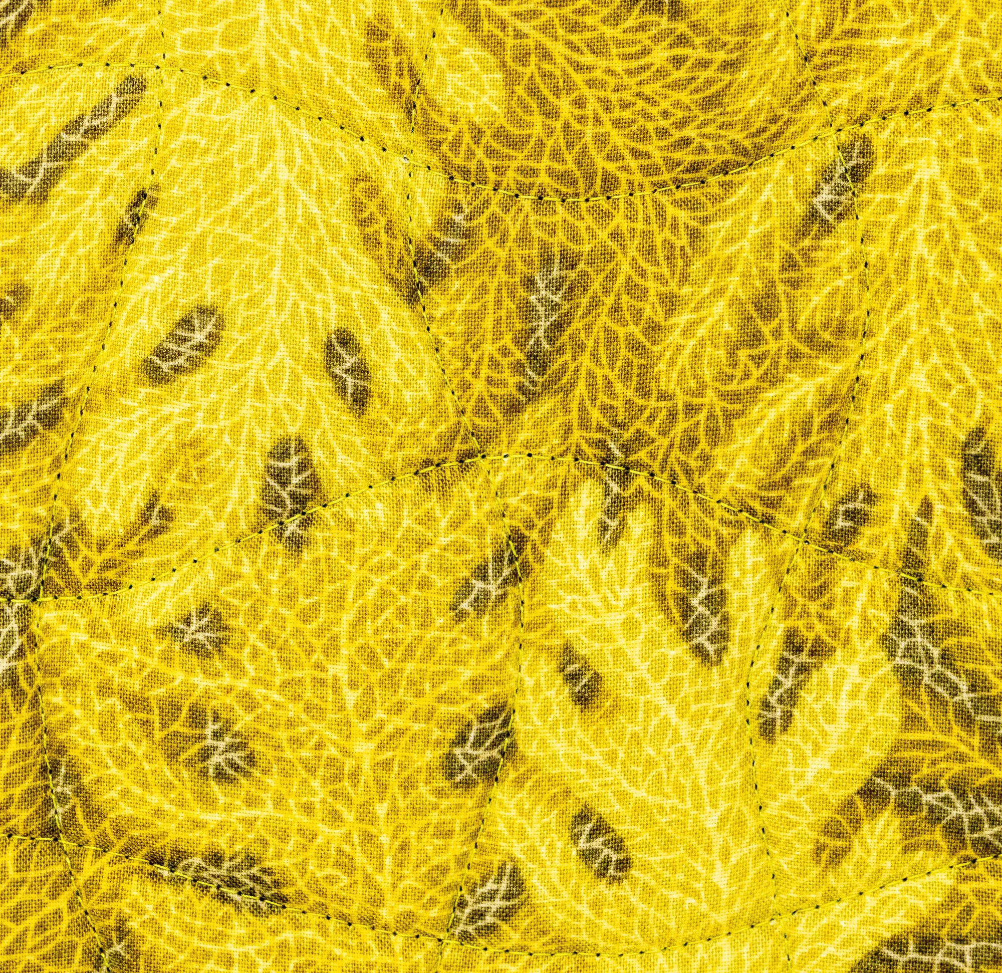 Dog faces 5 back detail 2000px.jpg