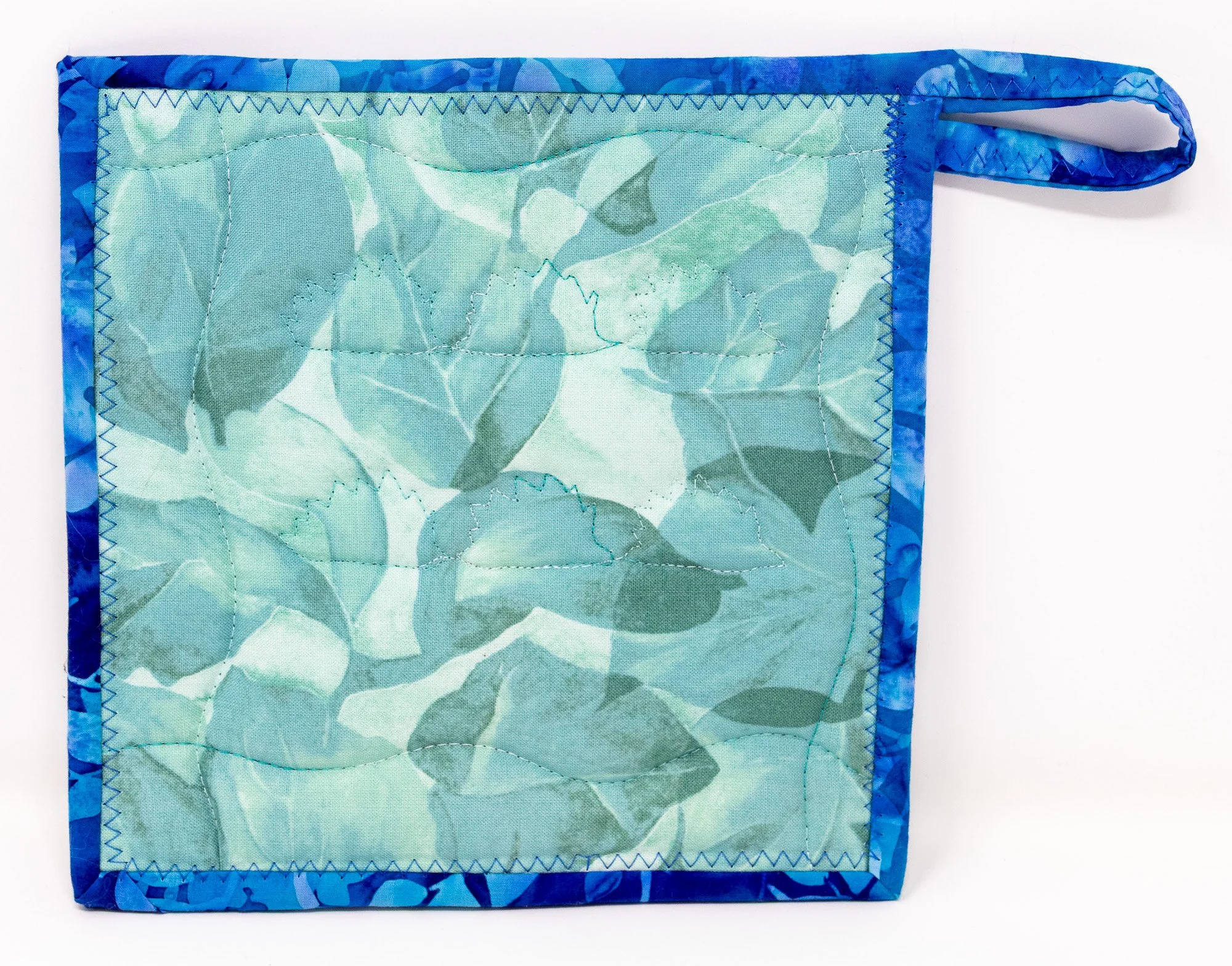 Blue teal hedgehogs 1 back 2000px.jpg