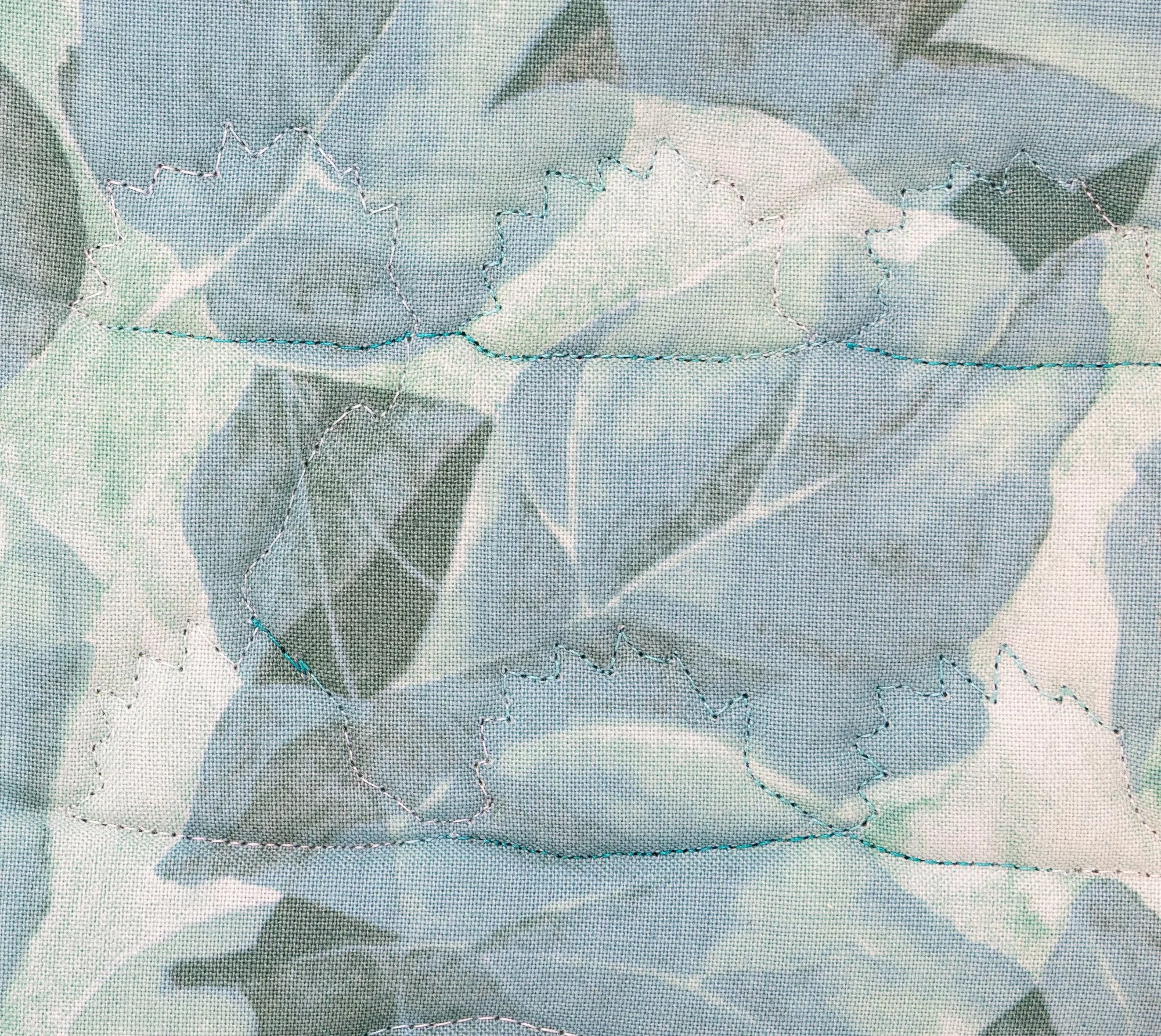 Blue teal hedgehogs 6 back detail 2000px.jpg