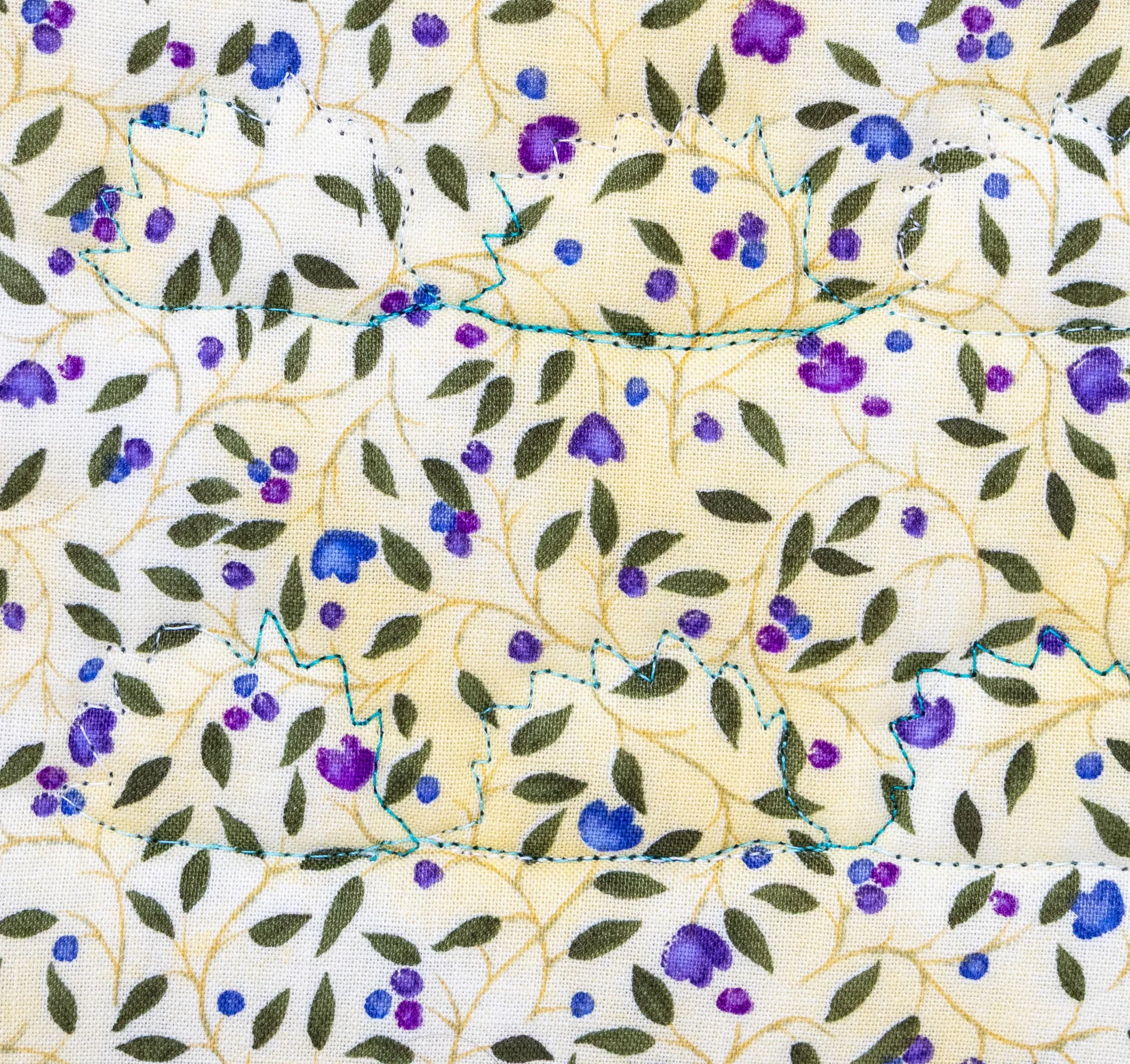 Blue teal hedgehogs 5 back detail 2000px.jpg