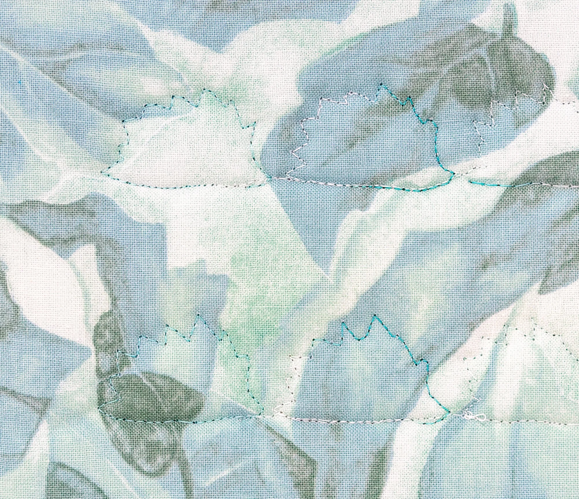 Blue teal hedgehogs 2 back detail 2000px.jpg