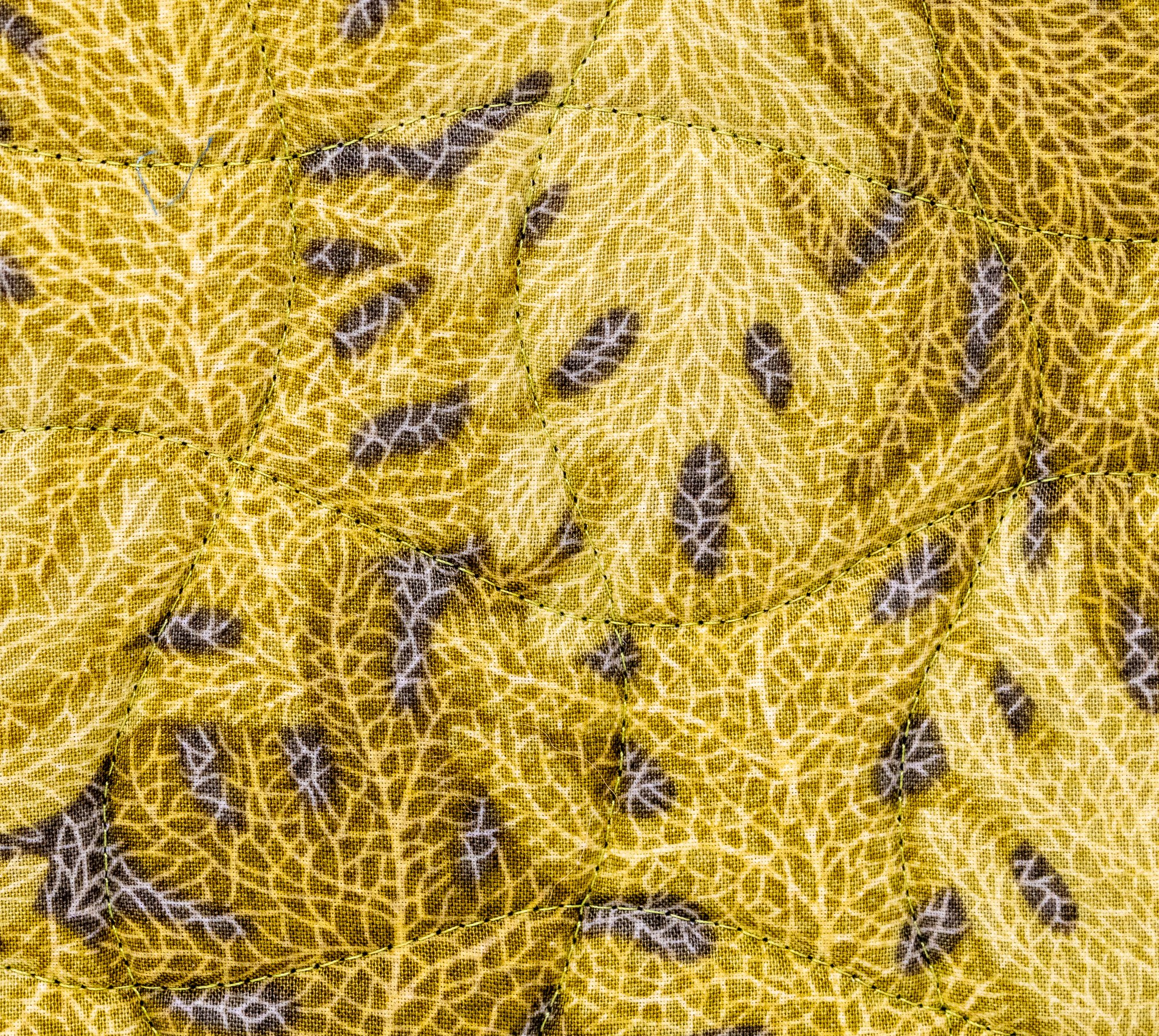 Dog faces 3 back detail 2000px.jpg