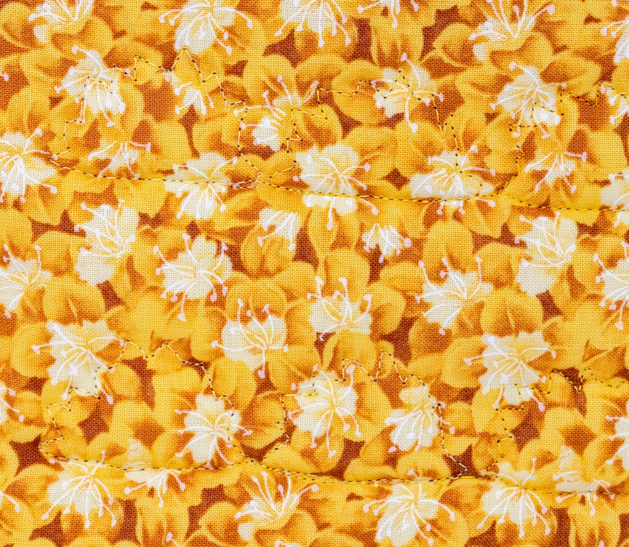Orange yellow hedgehogs 1 back detail 2000px.jpg
