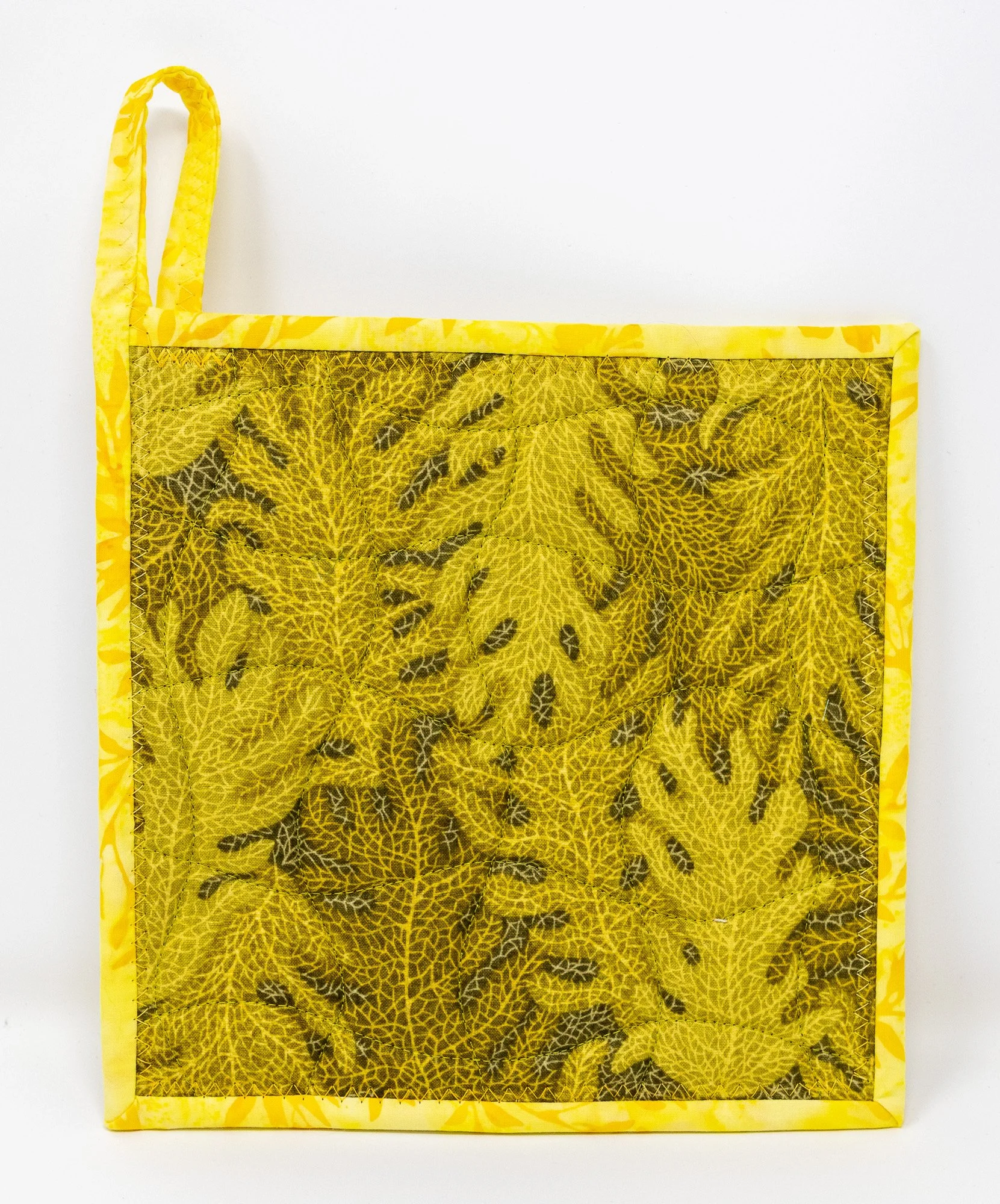 Dog faces 3 back 2000px.jpg