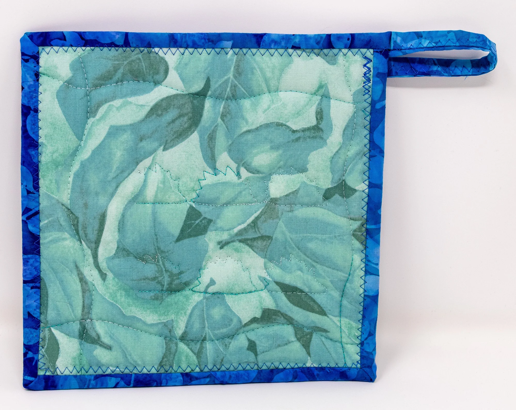 Blue teal hedgehogs 3 back 2000px.jpg