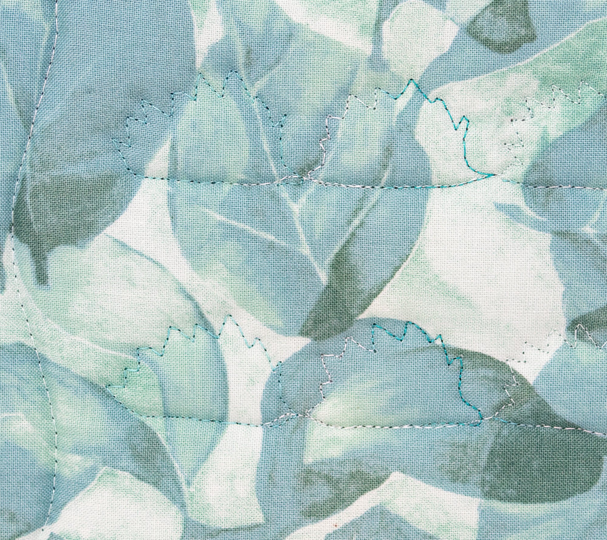 Blue teal hedgehogs 1 back detail 2000px.jpg