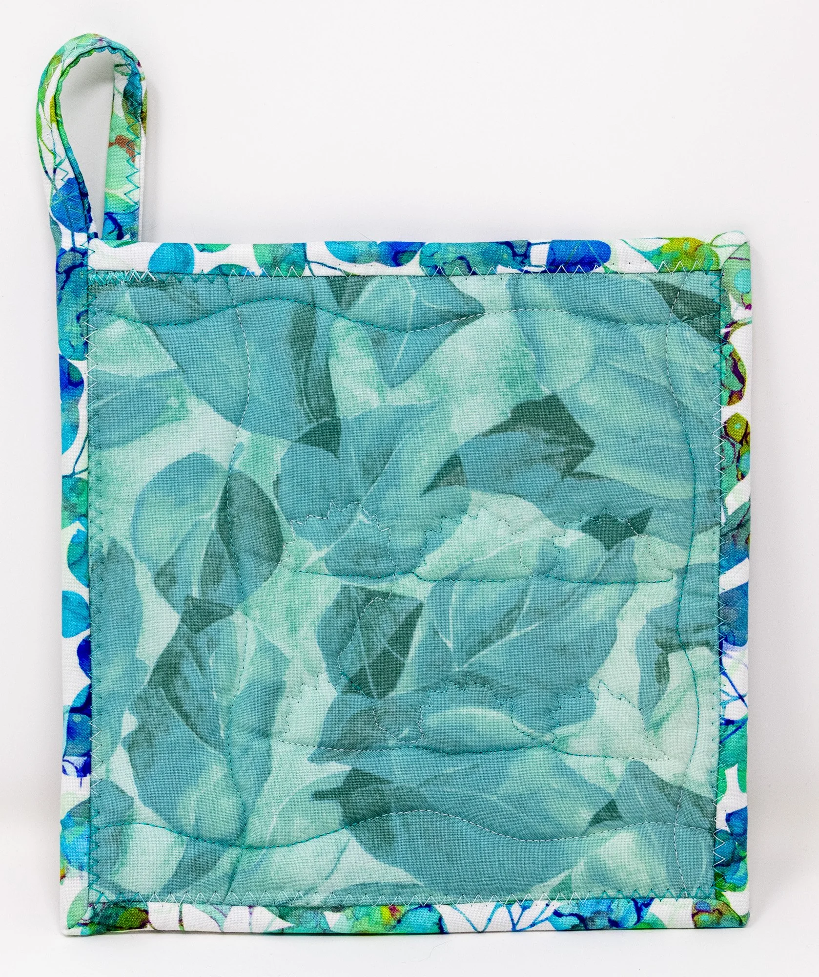 Blue teal hedgehogs 6 back 2000px.jpg