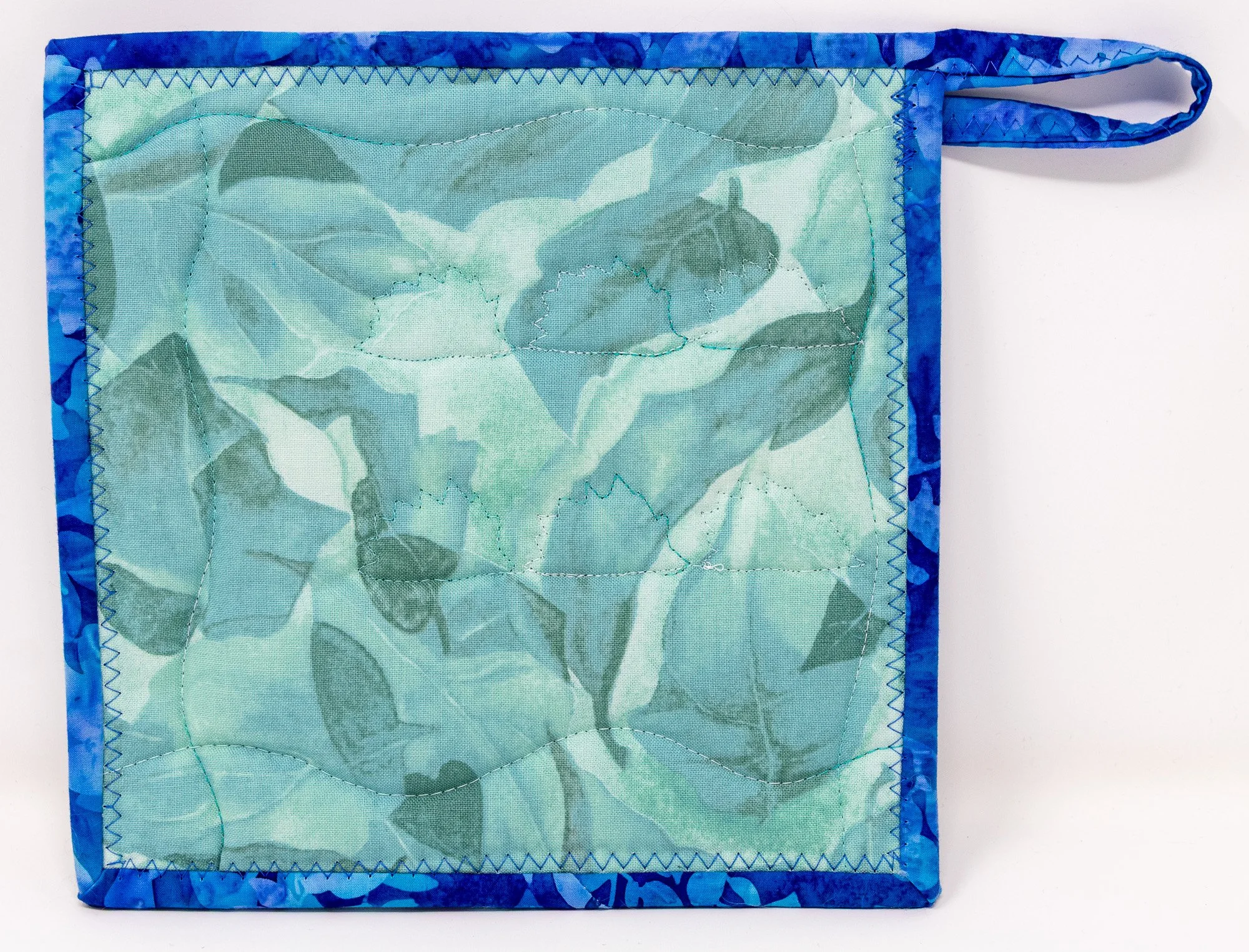 Blue teal hedgehogs 2 back 2000px.jpg