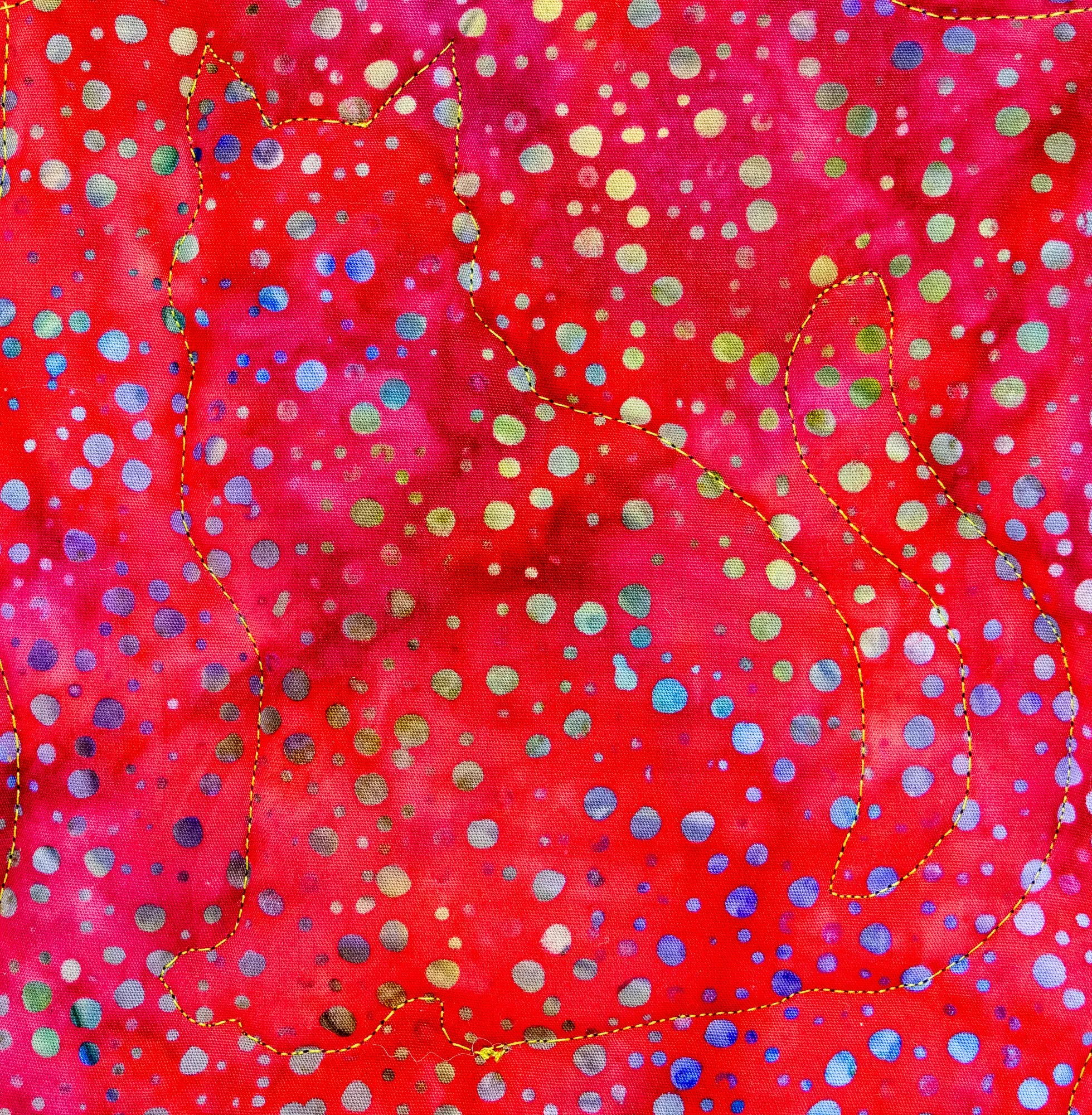 Black Cat 3 back detail 2000px.jpg