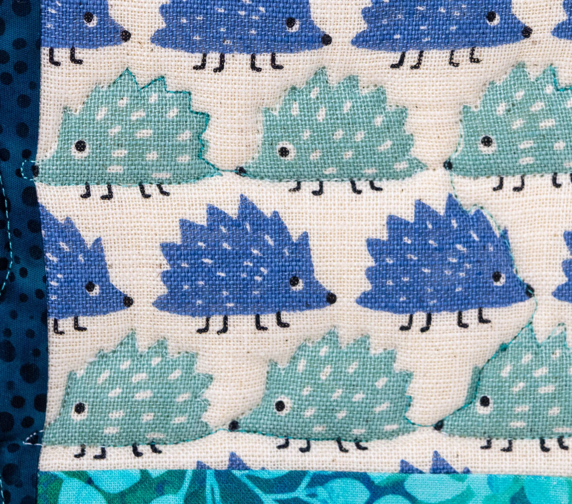Blue teal hedgehogs 6 front detail 2000px.jpg