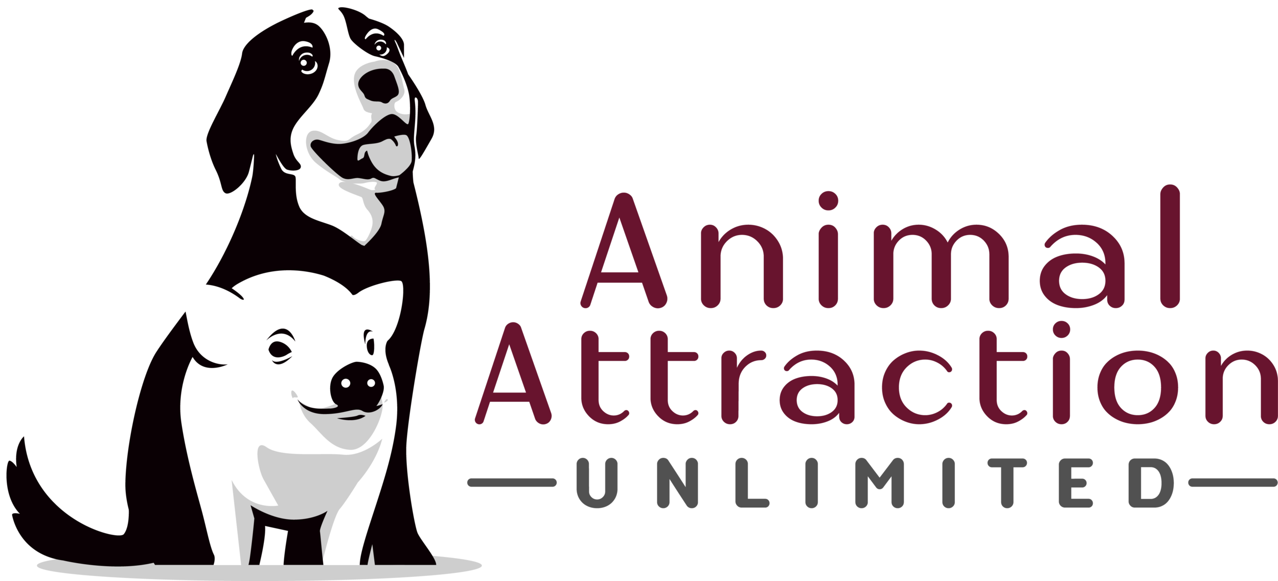 Animal Attraction Unlimited: Dog & Pig Training Los Angeles