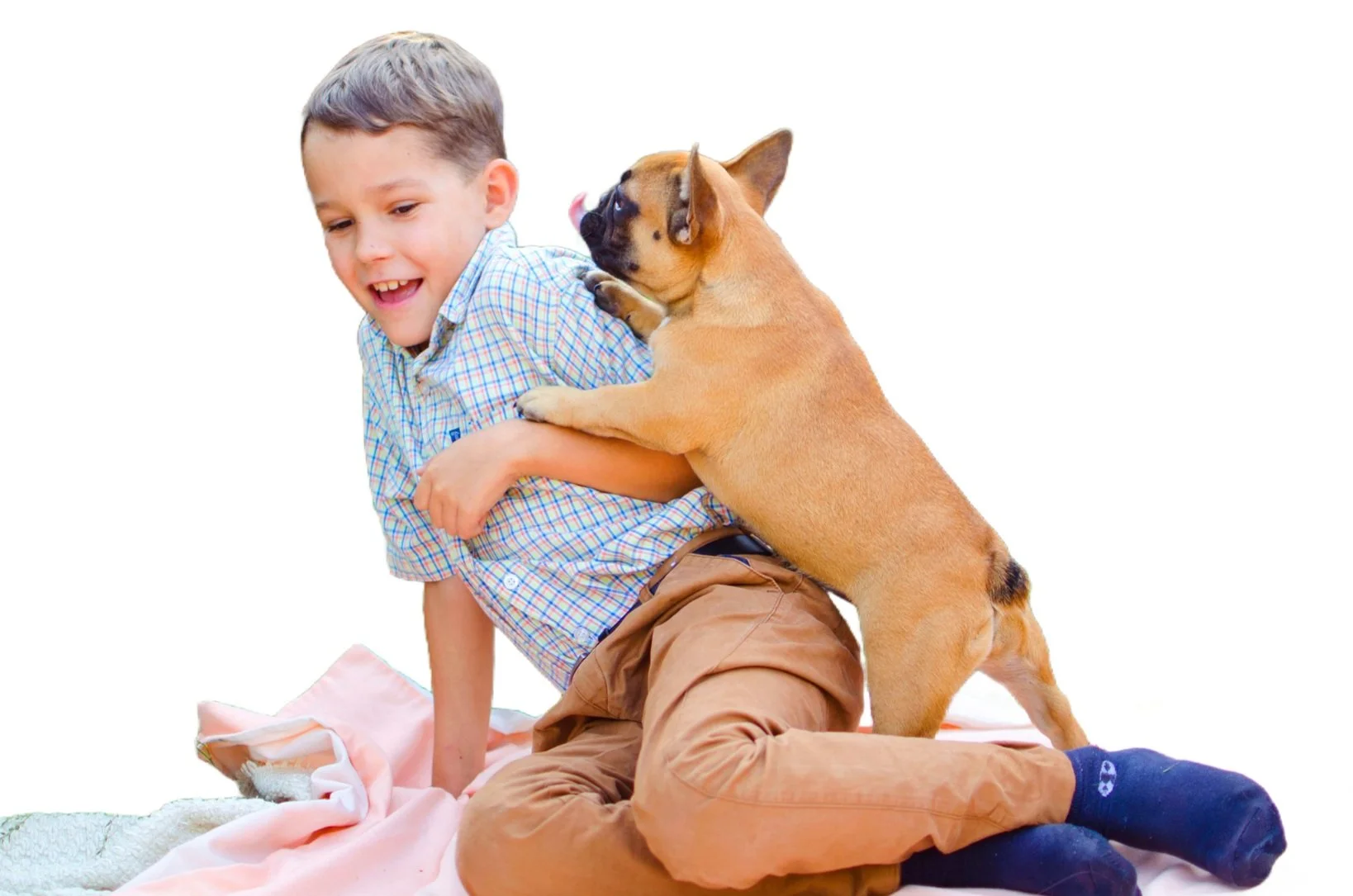What is Dog Impulse Control? Training Tips and Why It Matters