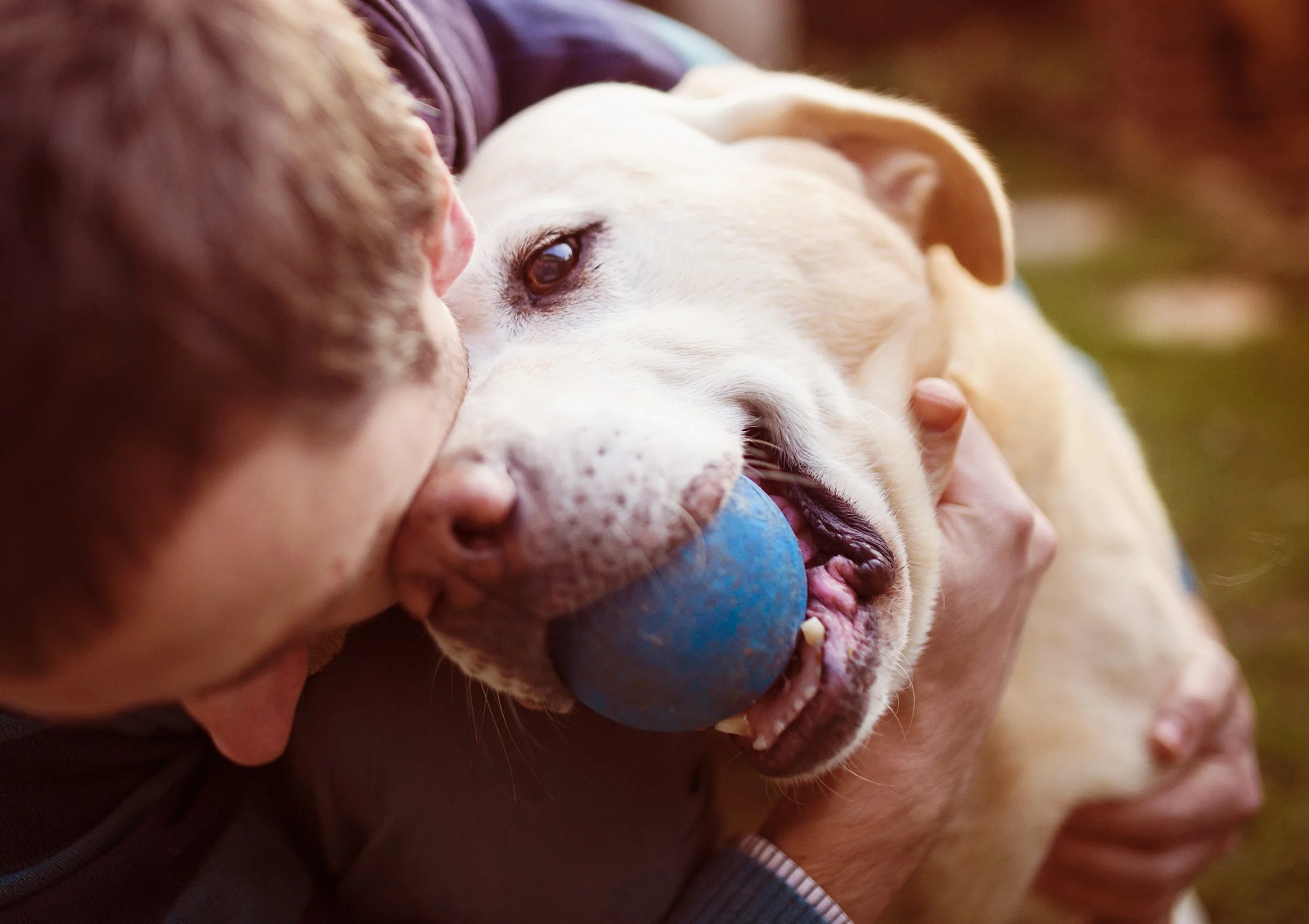Beyond the Treat: The Real Benefits of Reward-Based Dog Training