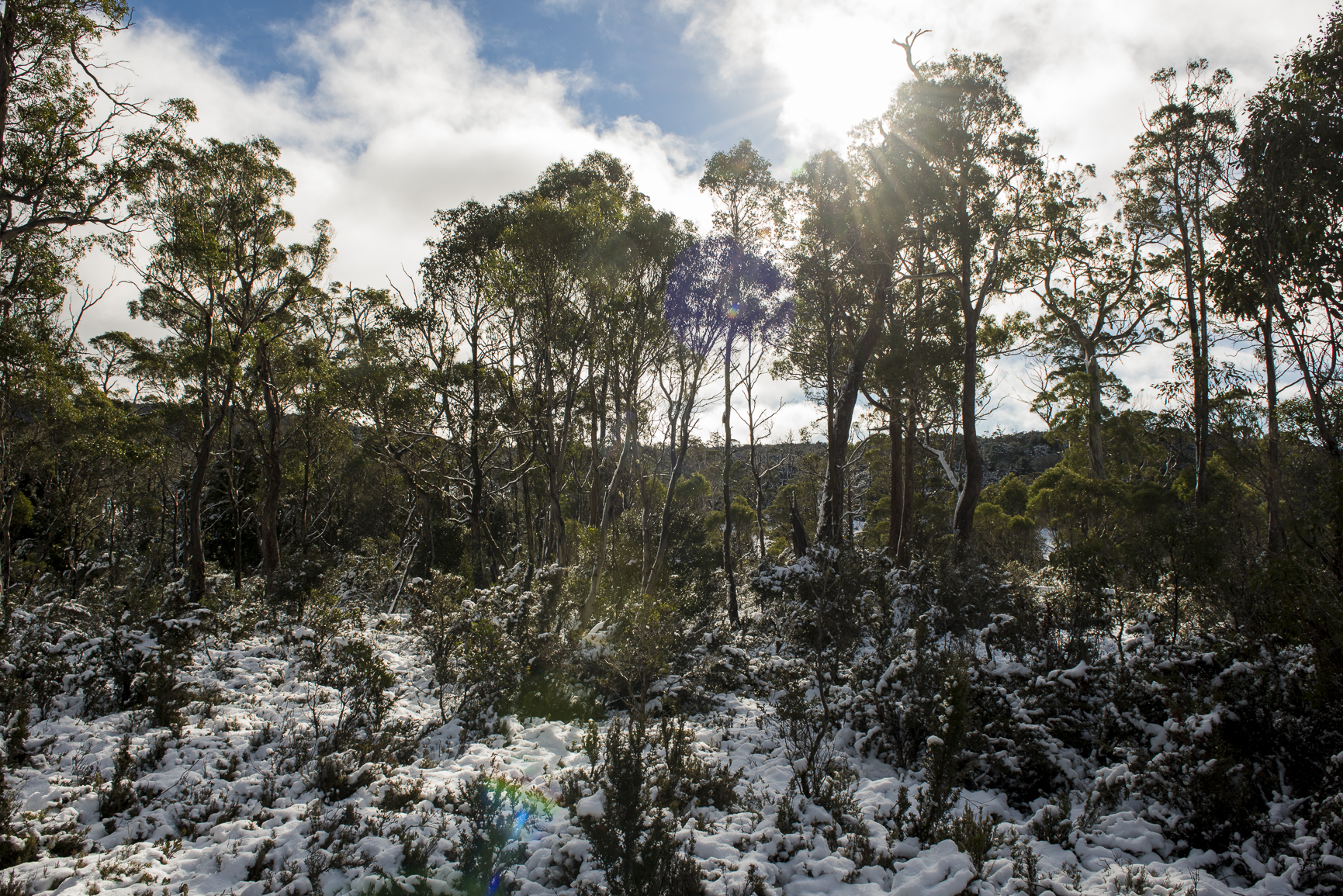 Cradle Mountain 2017. Photo By Amy Brown.jpg.jpg