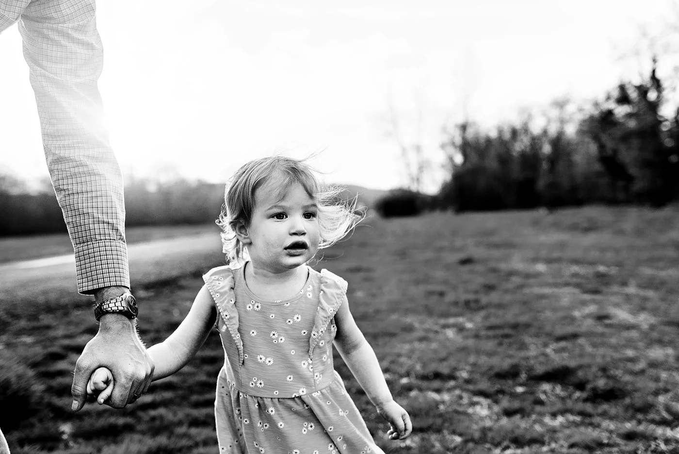 daughter holding dads hand in field at haddam meadows in haddam connecticut lifestyle maternity photography 