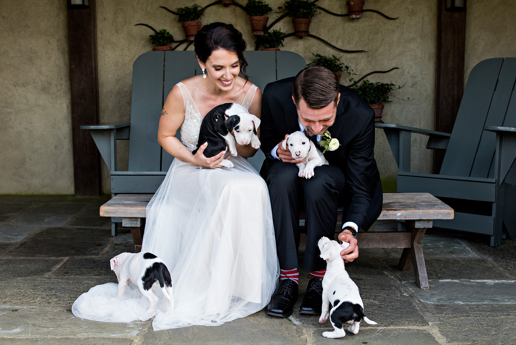 bride and groom with rescue puppies. puppies instead of bouquets. ct wedding photographer 
