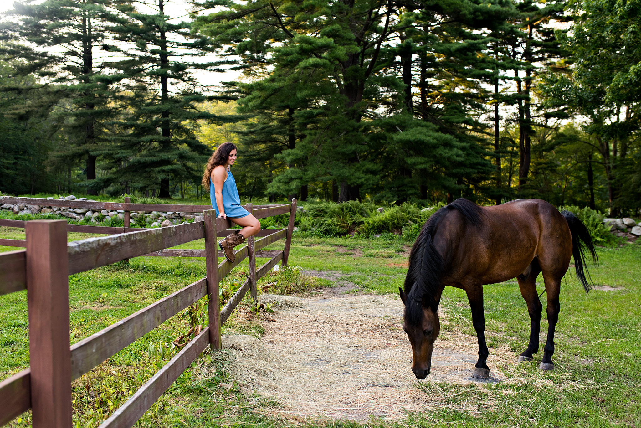 ct senior portrait photography with a horse on a farm