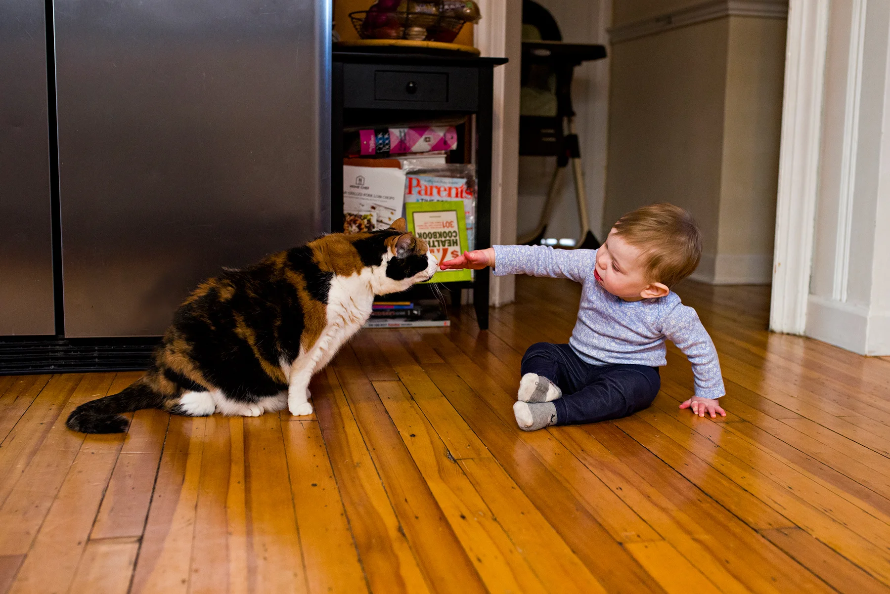 children and pet photography connecticut. ct family photogtrapher