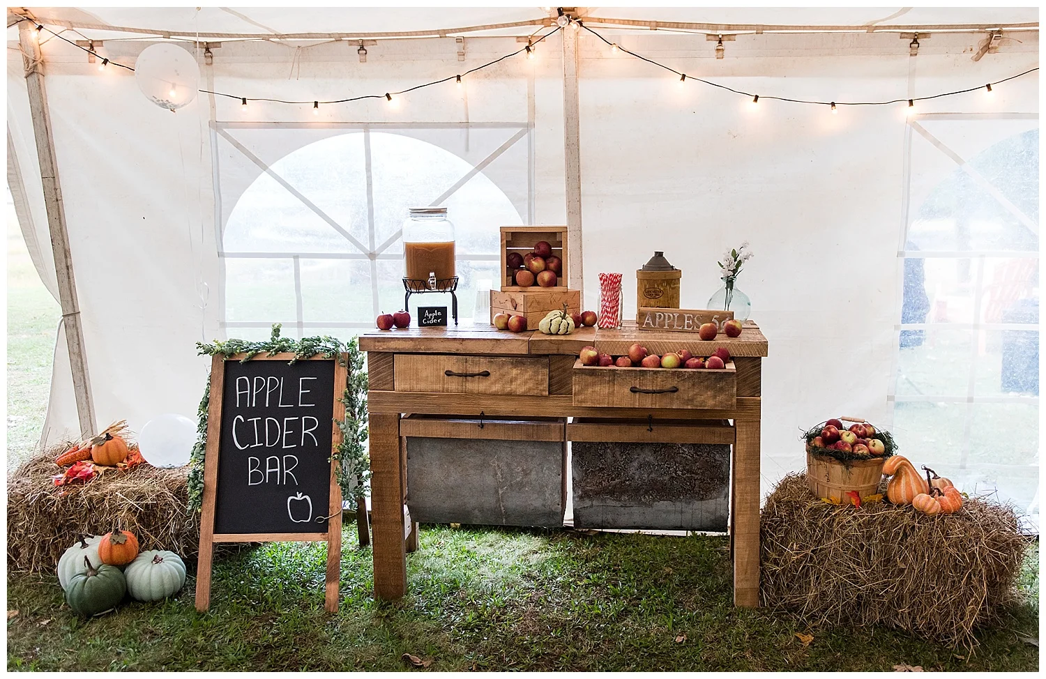 backyard wedding photography ct