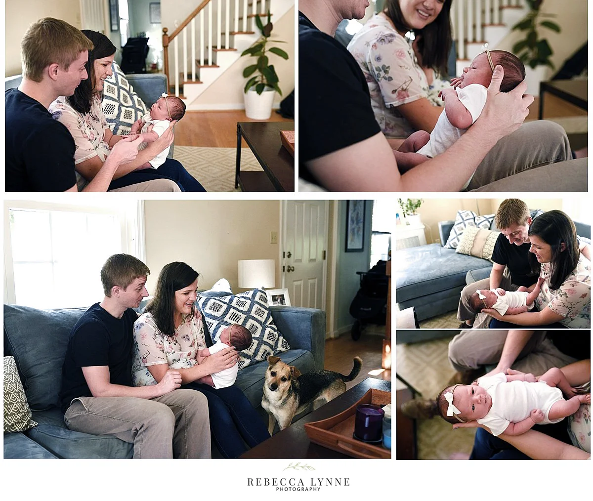  lifestyle neworn photography Connecticut