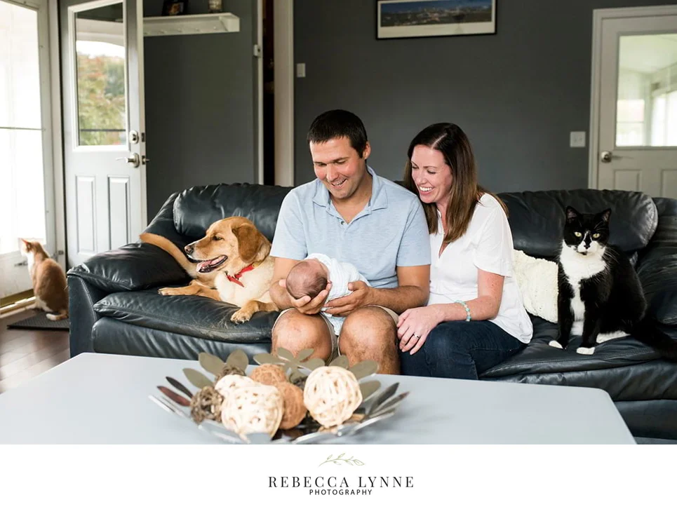 in home lifestyle newborn photography with pets on the couch