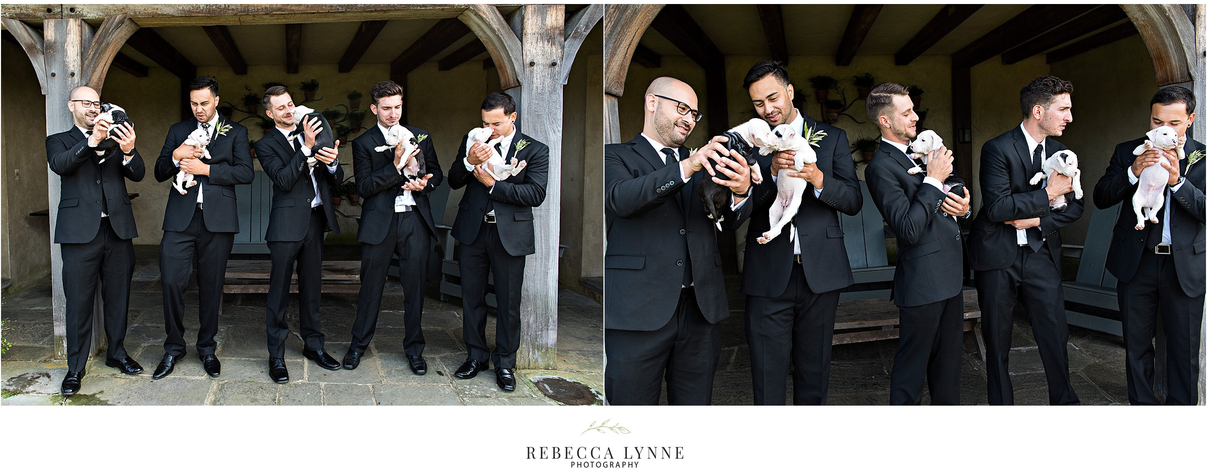 groom and groomsmen with newborn puppies at wedding