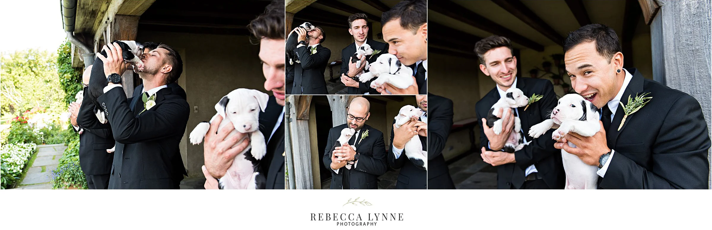 crazy adorable groom and groomsmen with puppies during wedding photography