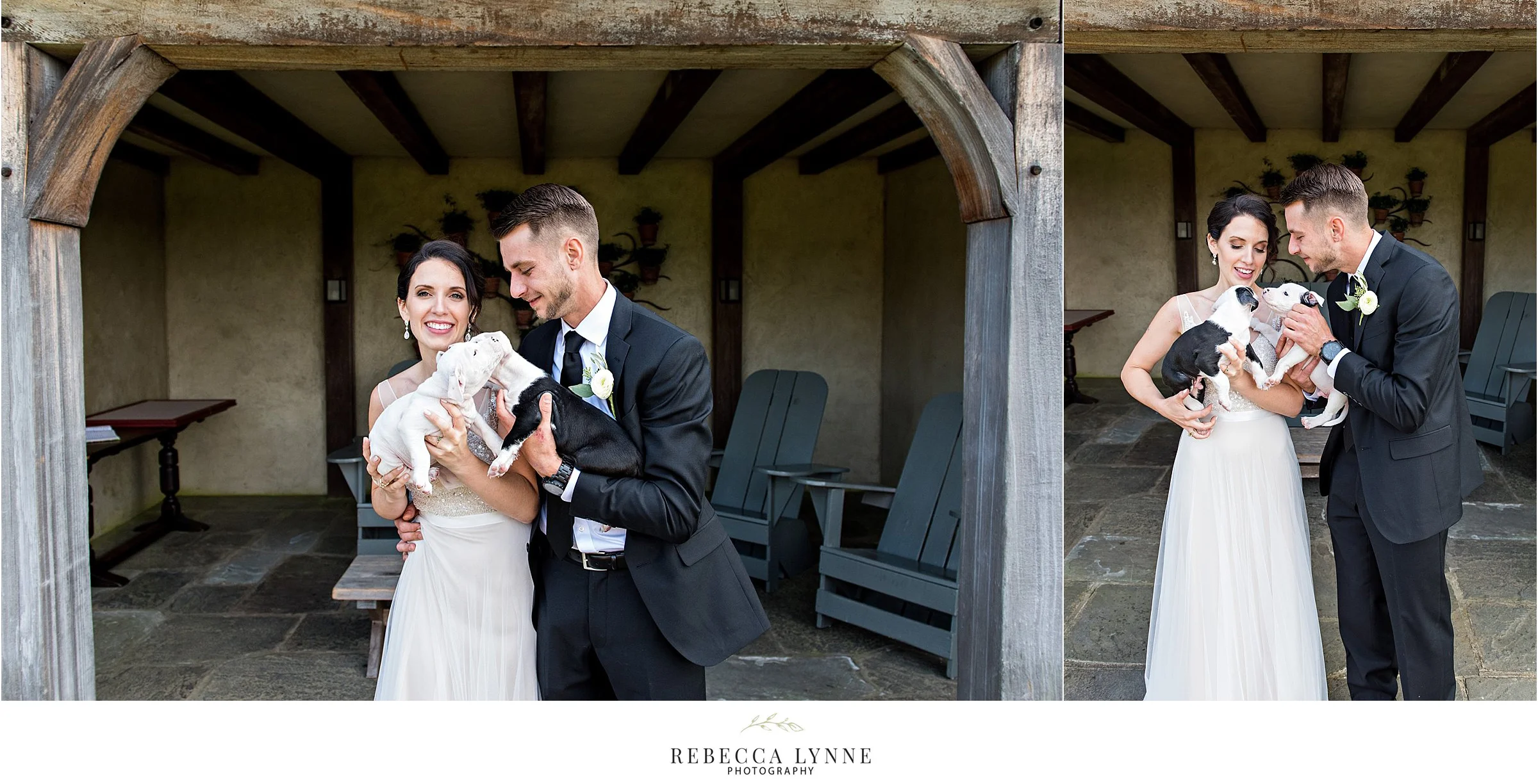 bride and groom wedding photography with rescue puppies to adopt