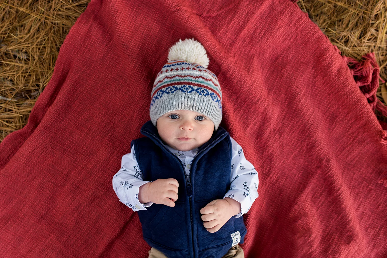 If you are looking for a family photographer in CT, contact Rebecca Lynne Photography