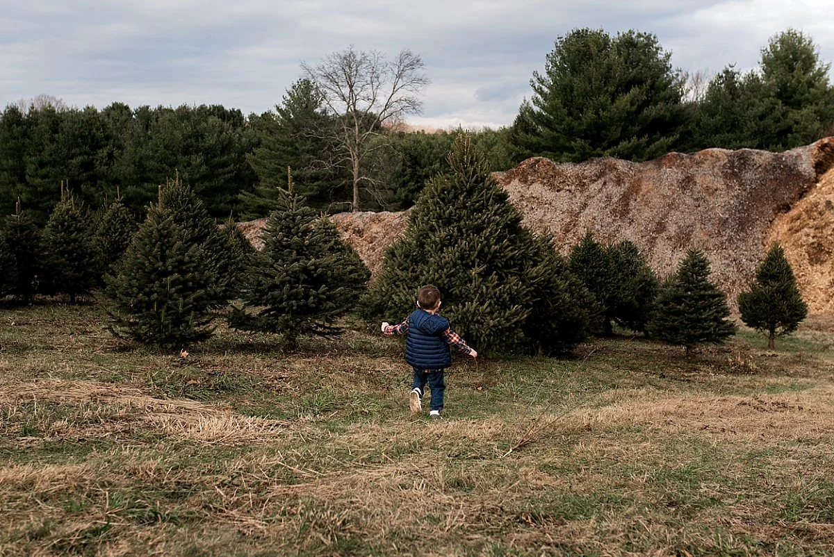 christmas tree farm family photography connecticut