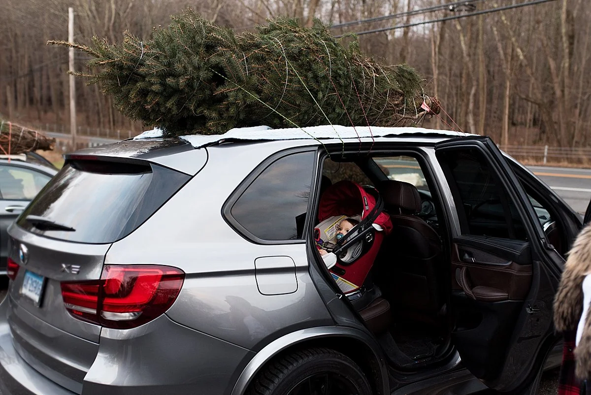 ct christmas tree farm photographer