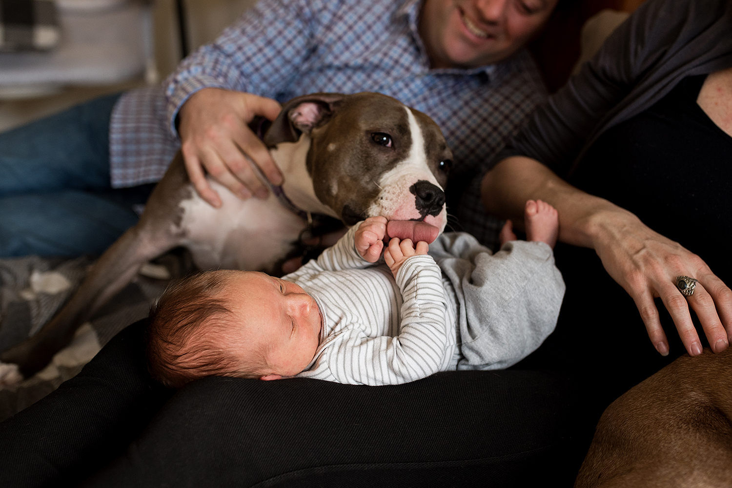 At home newborn photography