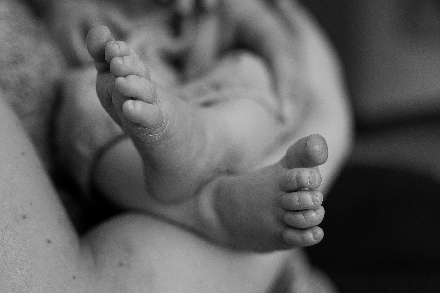 newborn toes. ct baby photography