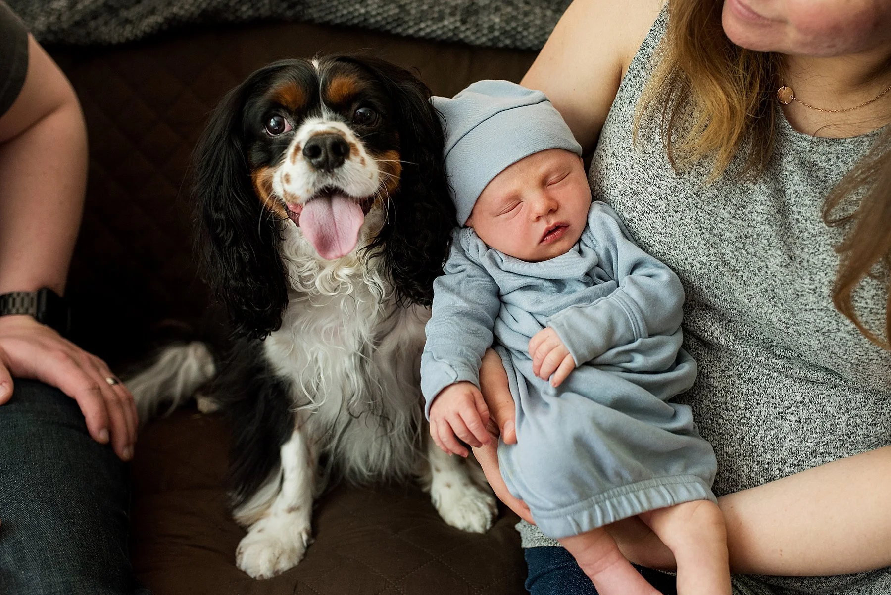 newborn with puppy portrait. newborn photography CT