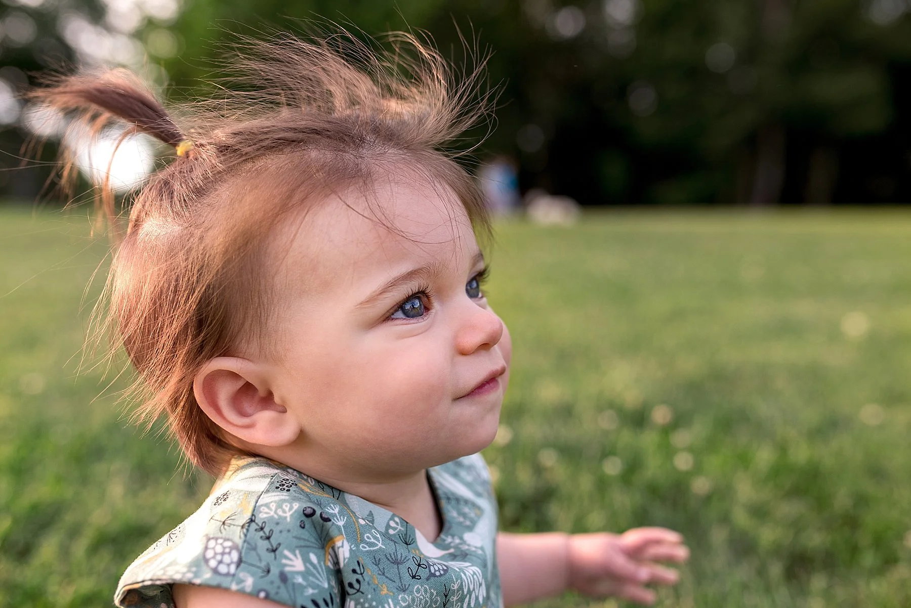 infant portrait photographer CT