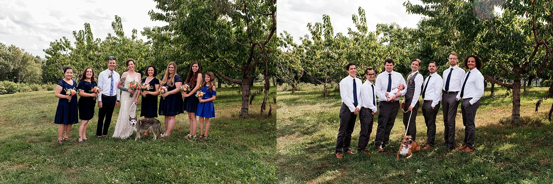 bridal party formals with dog