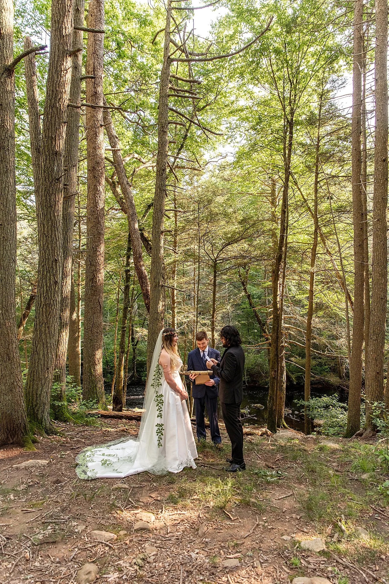 New England Forest Elopement Guide: How to Elope in the CT Woods