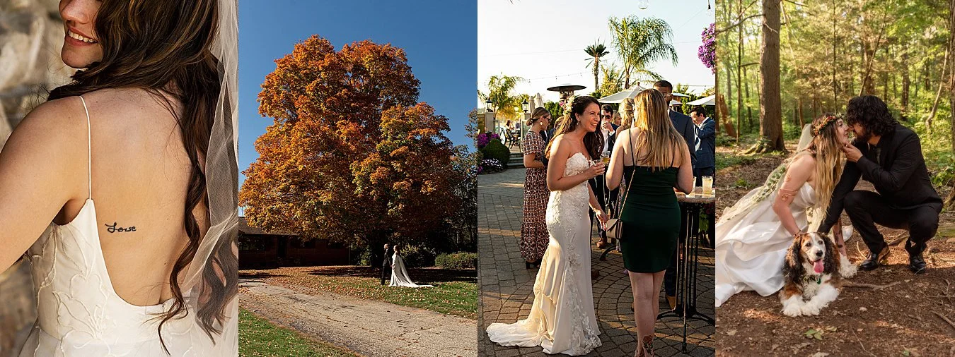 backyard wedding photographer CT