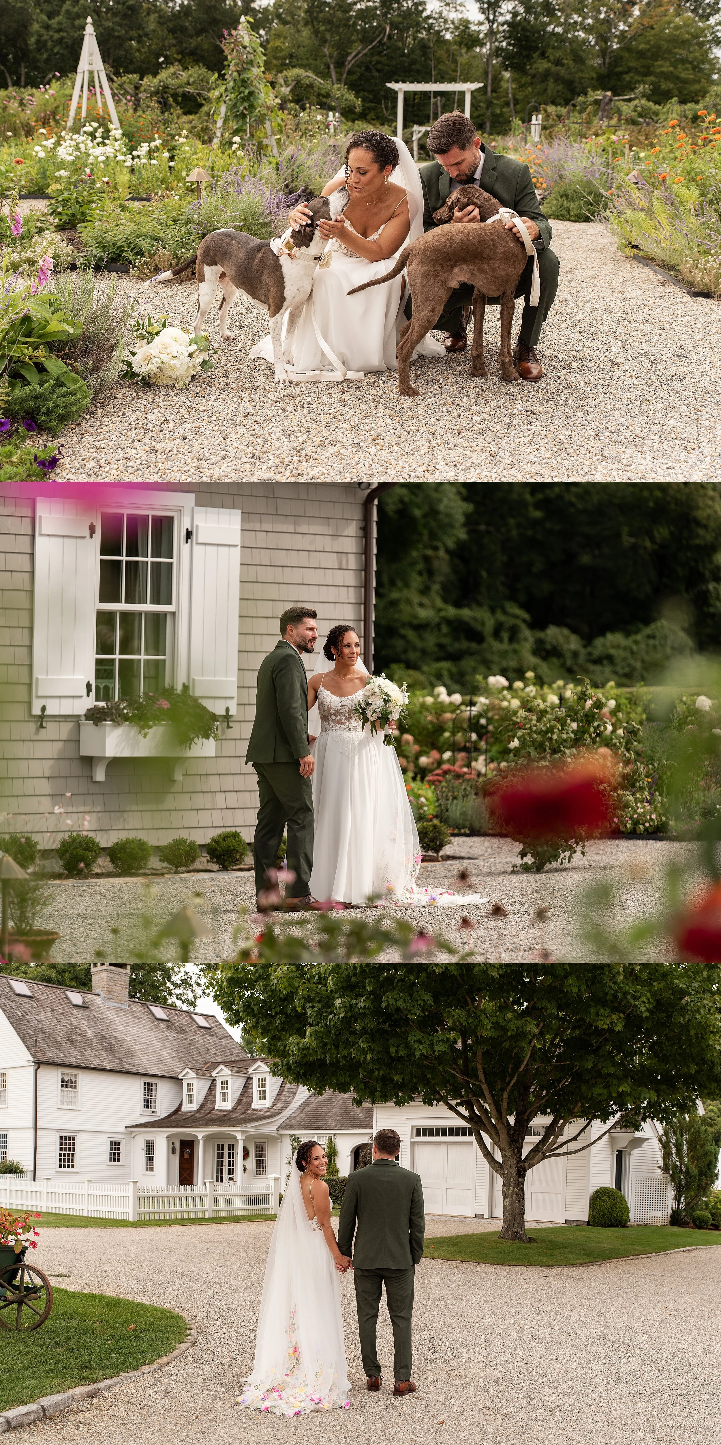 Bride and groom posing for wedding portraits with their two dogs, Taco and Pepper, on the lawn at a historic CT estate