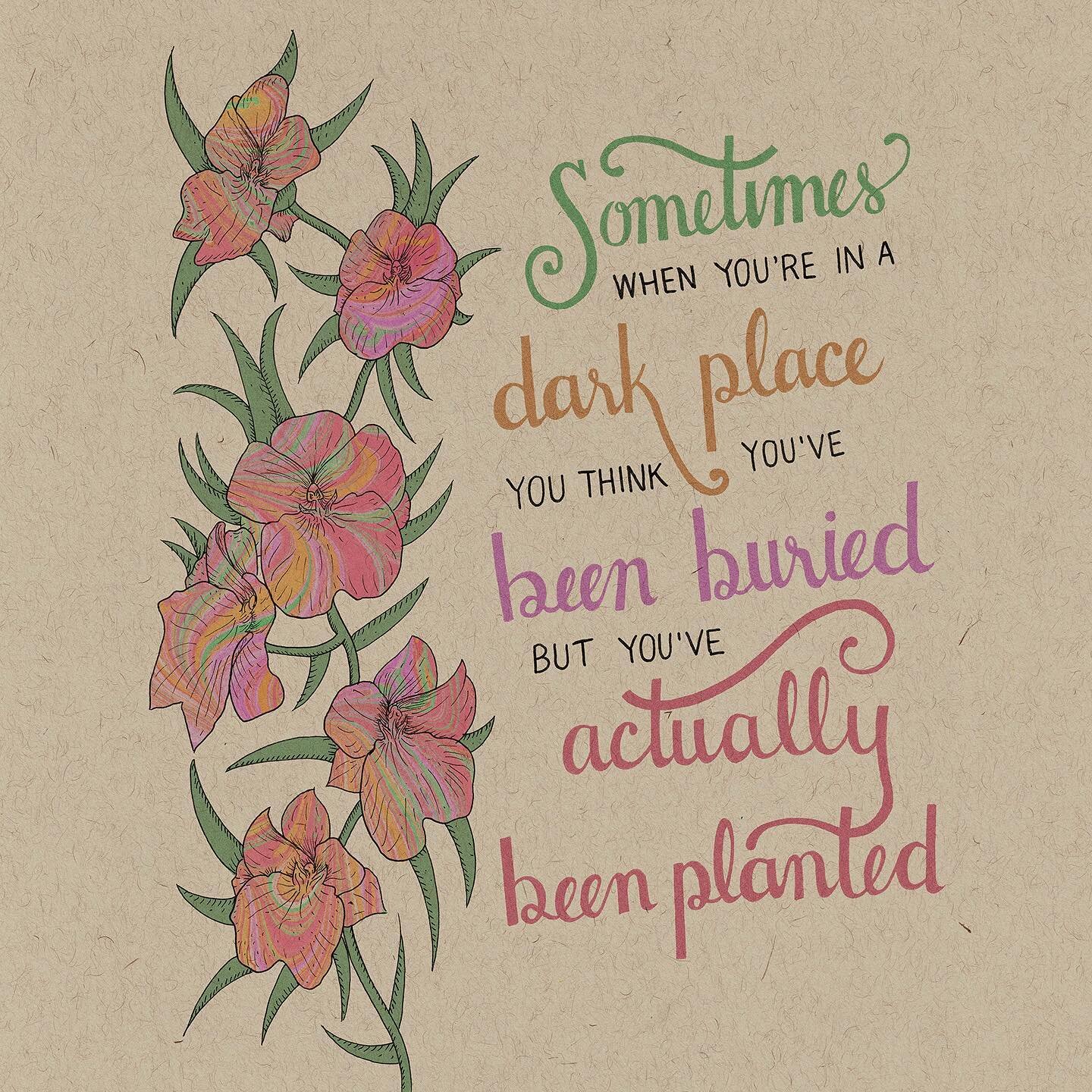 I originally drew this in 2016 from some orchids my parents had at the time. I scanned it long ago, but only got to finishing it now. This quote is by Christine Caine. I found it many years ago and it still resonates with me.

Being in a dark place i