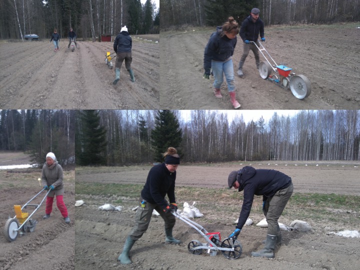 Kylvöä nipexillä, bassilla & earthwayllä