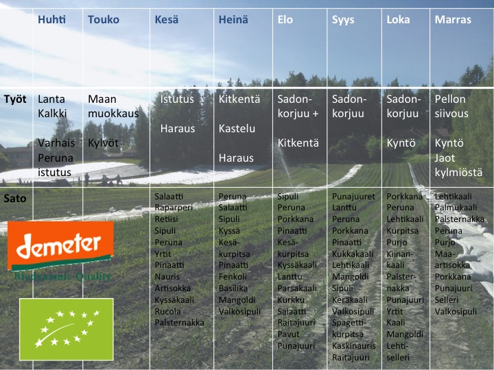 Oman pellon työkalenteri