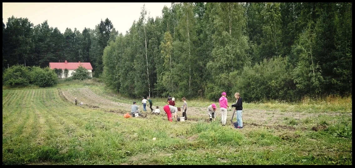 Steinerkoululaiset nostamassa pottua.