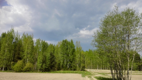 Eräänä päivänä sadepilviä näkyi, mutta sadetta ei..