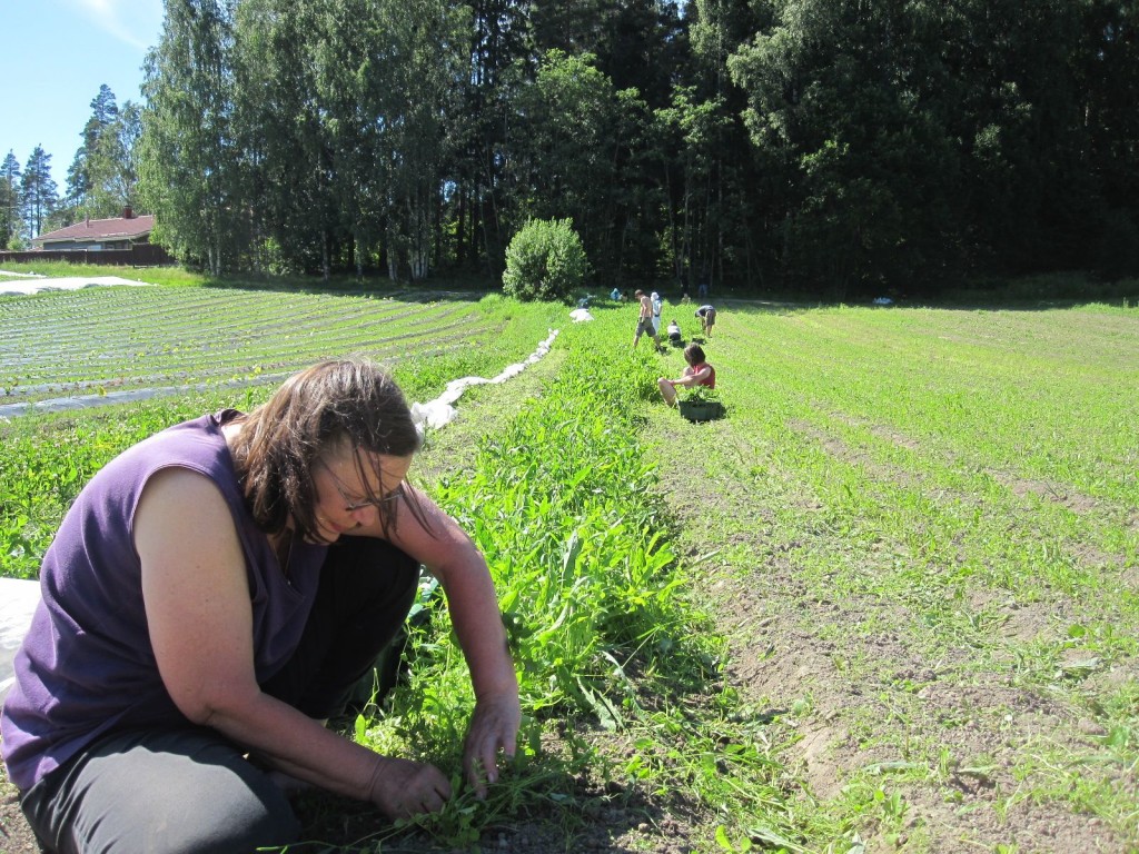 Marja-Liisa-kvt-1024x768.jpg